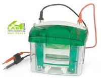 الکتروفورز عمودی مدل Mini protean tetra ساخت کمپانی  Bio-rad آمریکا