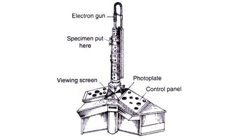 میکروسکوپ الکترونی
